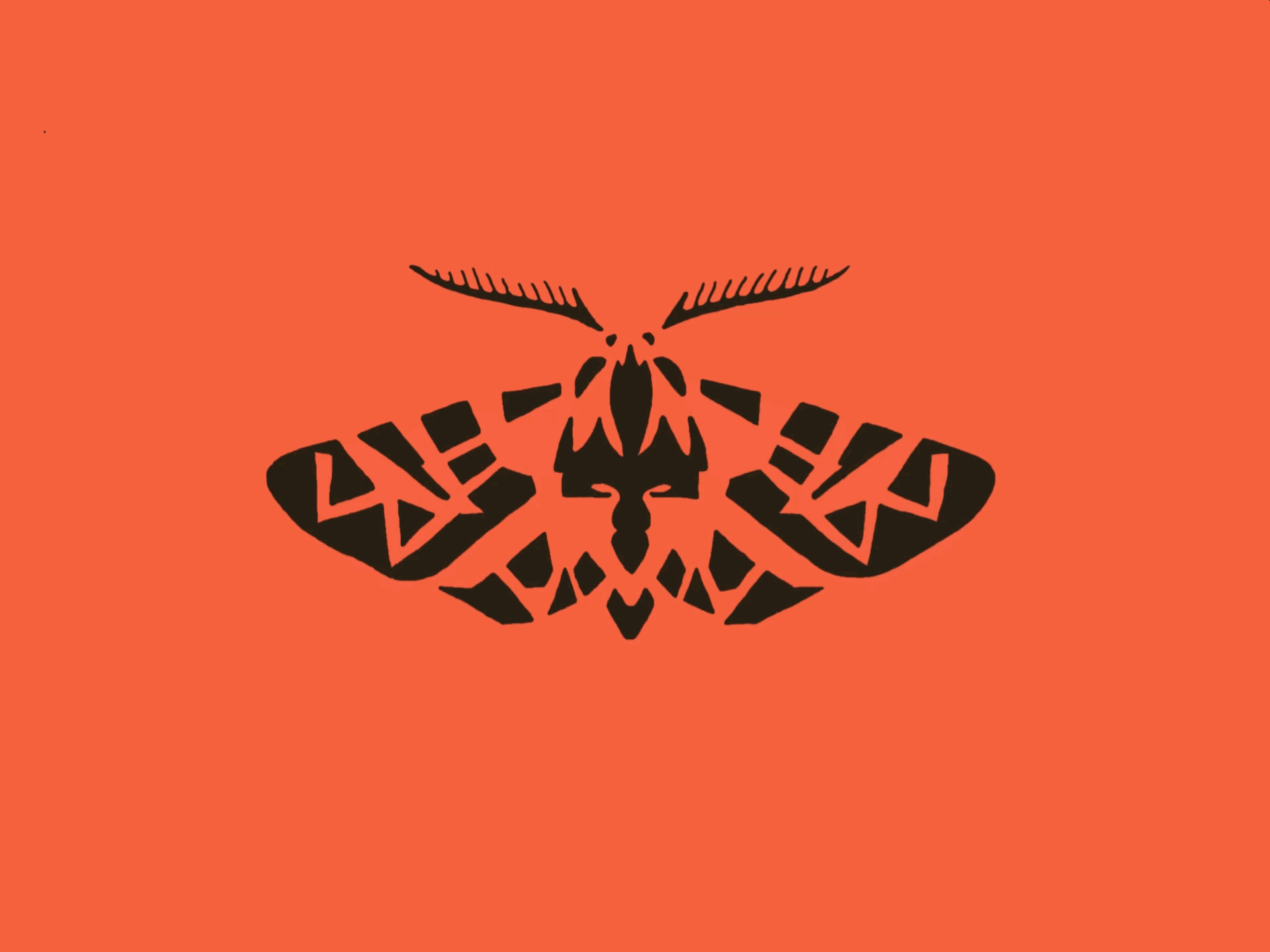 Tigermoth logo animation - flutter